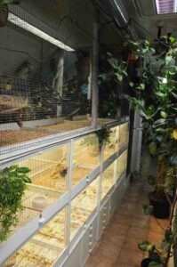 Anlage4_750x498_Jens
