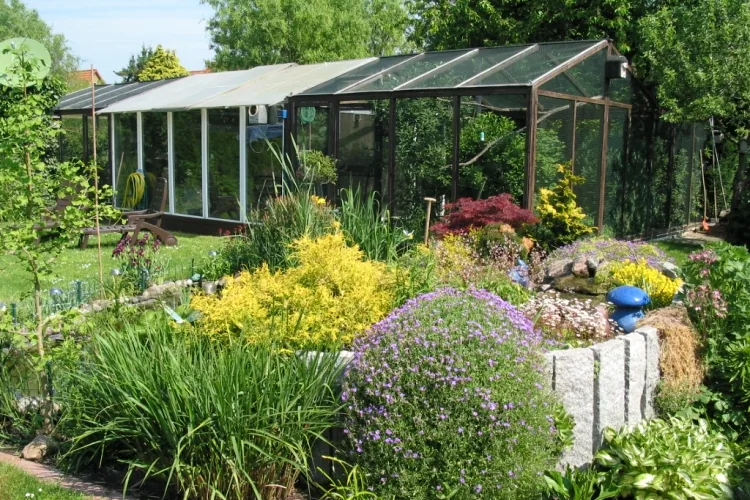 In de tuin geïntegreerde vruchtenduivenkweeklocatie van Manfred Brunkhorst met beplante buitenvolières.