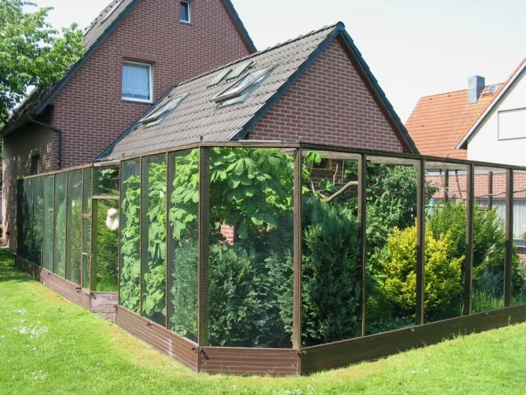 In de tuin geïntegreerde vruchtenduivenkweeklocatie van Manfred Brunkhorst met beplante buitenvolières.