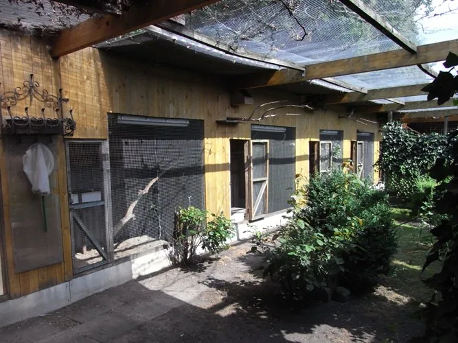 Documented fruit dove breeding facility of Peter Tödter with covered aviaries, water area and planted resting places.