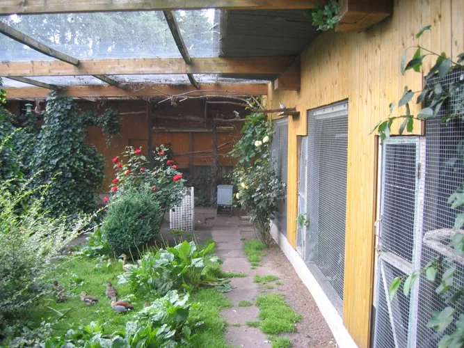 Documented fruit dove breeding facility of Peter Tödter with covered aviaries, water area and planted resting places.