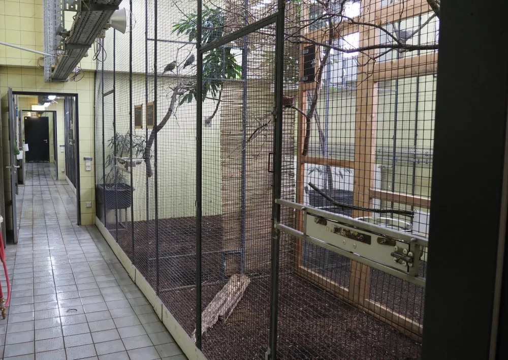 Vruchtenduivenverblijf in de dierentuin van Keulen met binnenvolières, dienstgang, zitstokken en afscheidingen.